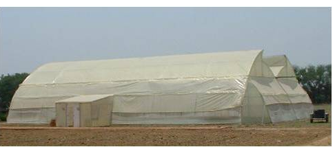 Indian Council of Agricultural Research Logo